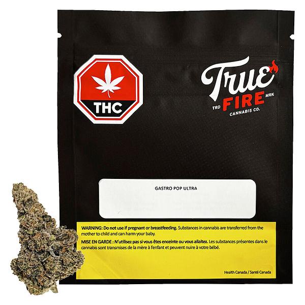 True Fire - Gastro Pop Ultra image 4