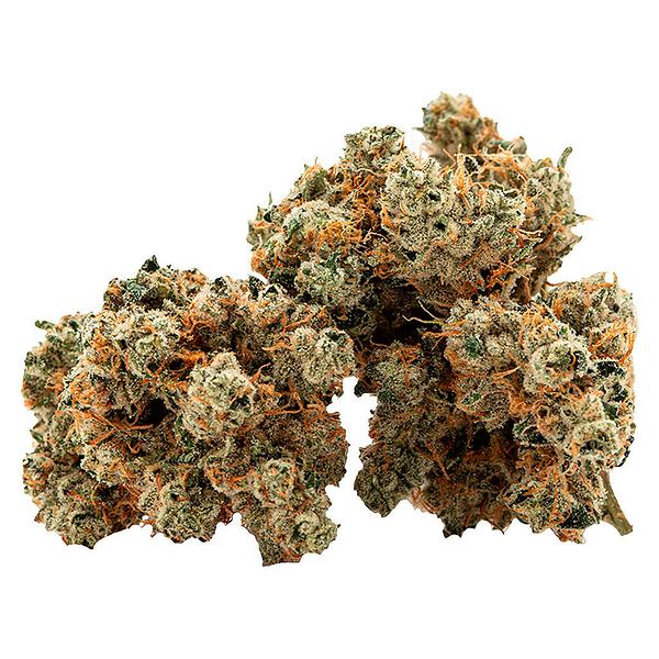 Cactus - Succulent Smalls image 1