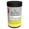 Cactus - Succulent Smalls thumbnail 2