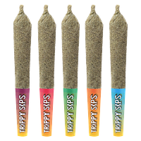 Trippy Sips - Juicy 5 Variety Pack Infused Pre Roll