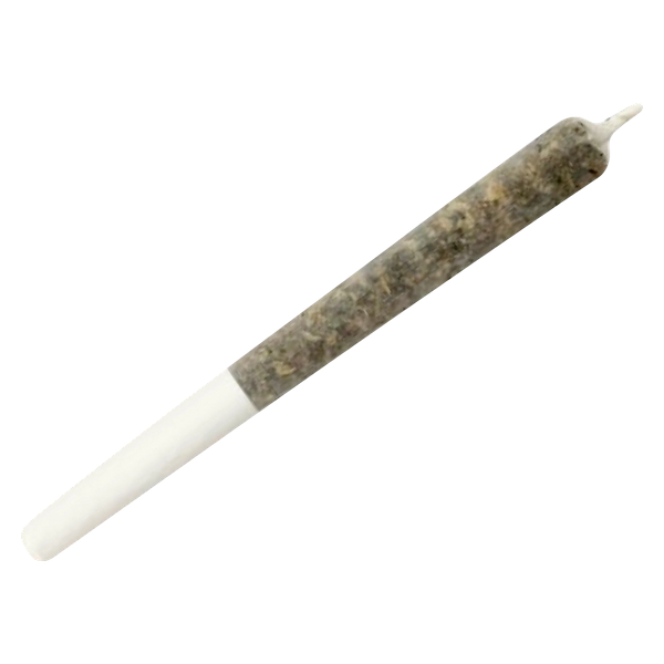 Dime Bag - Wildcat Serum Pocket Rockets Infused Pre Roll