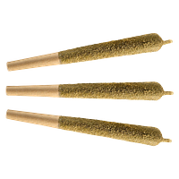 Fuego - Tropic Monster Distillate Infused Pre Roll