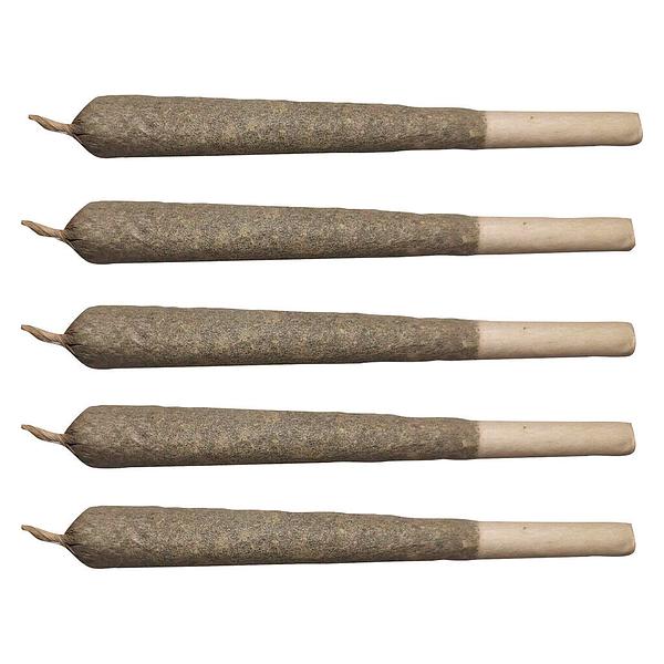 Can We - Peace Pack - Indica Pre-roll image 1