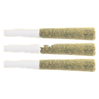 The Loud Plug - Milk Cake Pre-Roll