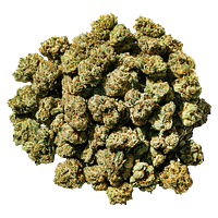 Super Toast - smol buds