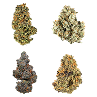 Potluck - Canada Collection Variety Ounce