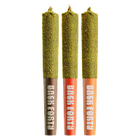 Back Forty - Kief Coated Taster Pack Infused Pre Roll