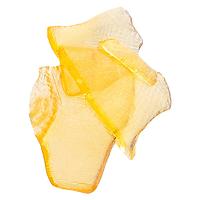 The Loud Plug - LA Inferno Shatter