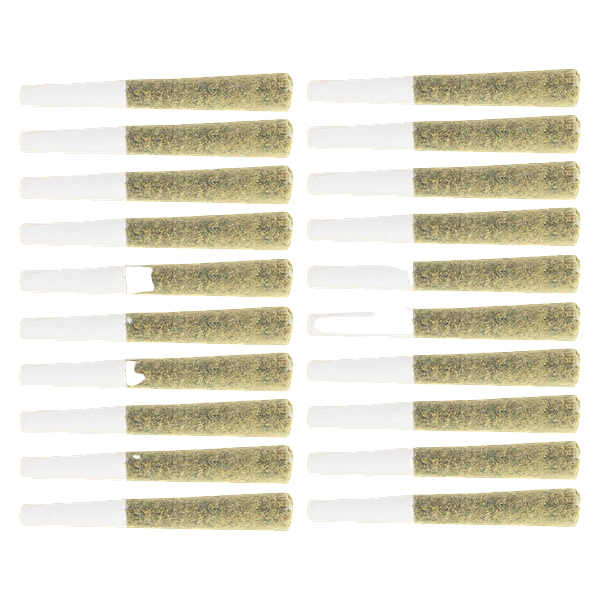 Original Dankster - OPS Pre-Roll