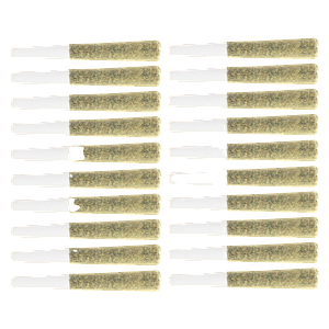 Original Dankster - OPS Pre-Roll