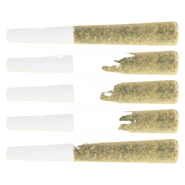 Original Dankster - Trapstar Pre-Roll 