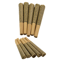 Partake - Test Driver Pre-Roll