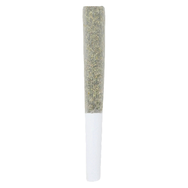 Crooked Dory - AAA+ Sativa Pre-Roll