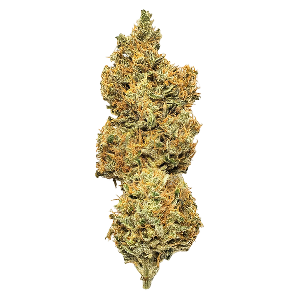 Mendo Select - Royal Moby