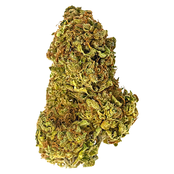 Paw't Shop - Cat Sitter