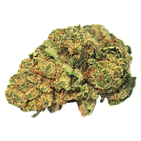 High Note - Black Gas