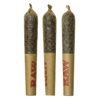 Dab Bods - Widows Blood Disti Infused Joints