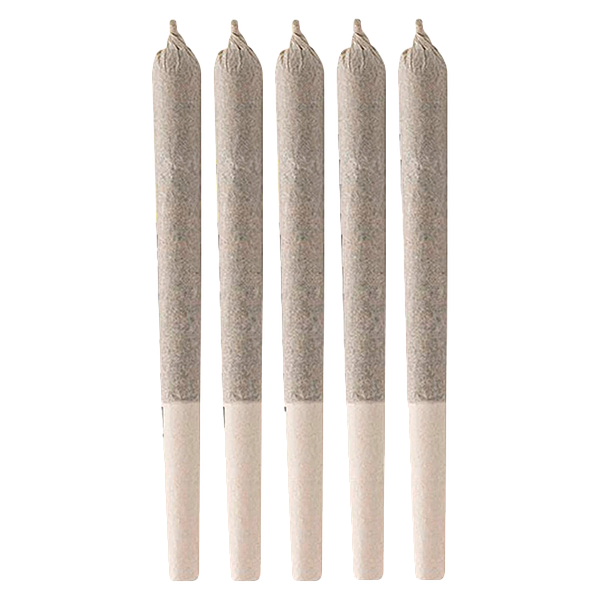 Cactus - Black Triangle Pre-Roll