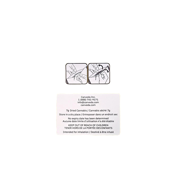 Silky Continental - Cross Bow