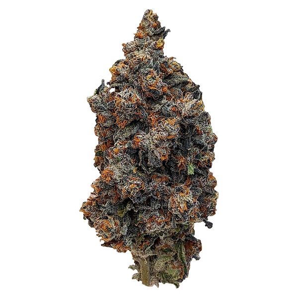 Rocket Factory - Interstellar Stash