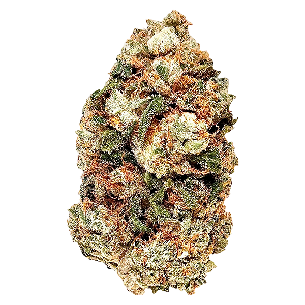 BC Green - Frosted Gumbo