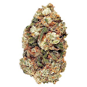 BC Green - Frosted Gumbo