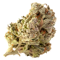 Highland Special - Cherry Park Pie