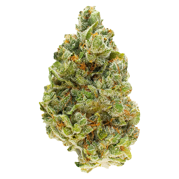 FOUR54 - Strawberry Pavé