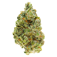 FOUR54 - Strawberry Pavé