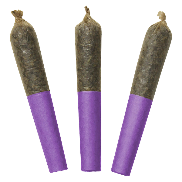 Dab Bods - Motor Breath 60's+ Dbl Infused Pre-Rolls