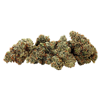 GreenSeal - Praline Gelato Hybrid