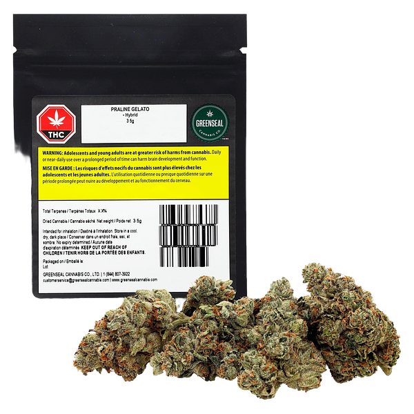 GreenSeal - Praline Gelato Hybrid