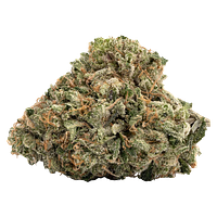 WINK - Gas Nasty (BMS x GMO) 