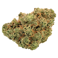 Trailblazer - Lemonade Haze