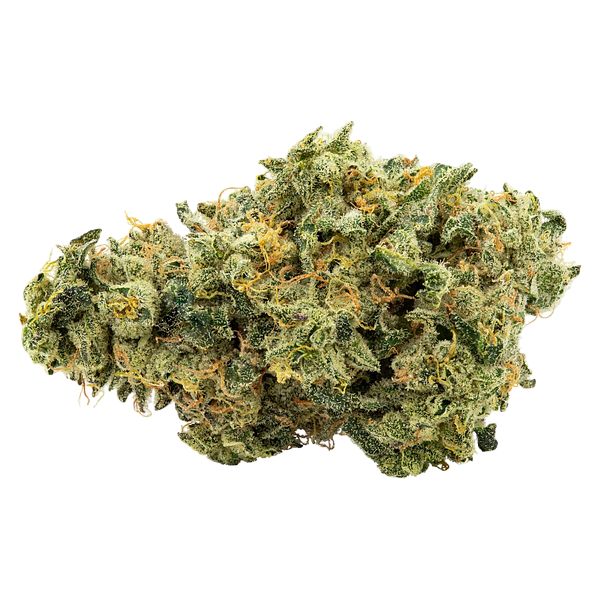 Trailblazer - Lemonade Haze