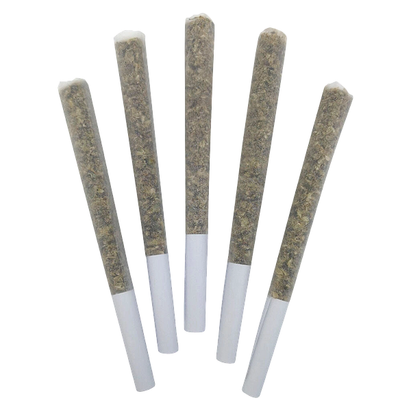 DEALR - Sweet Jesus Pre-Rolls