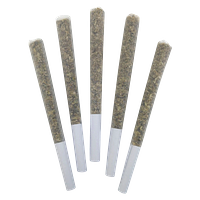 DEALR - Sweet Jesus Pre-Rolls