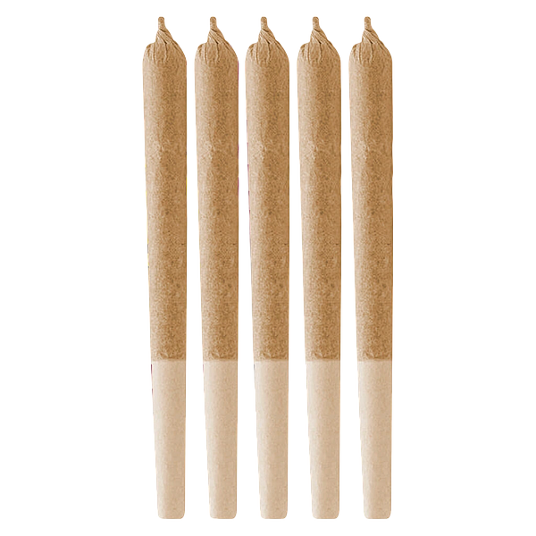 Retro Haze - Jack Herer Pre-Roll