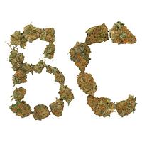 Always Hi - BC Indoor Sativa