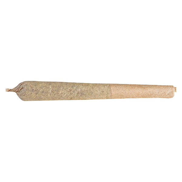 Highland Special - Paulander Purple Pre Roll