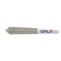 1Spliff - 1Spliff Pre Roll