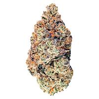 BLK MKT - Sunset Strudel