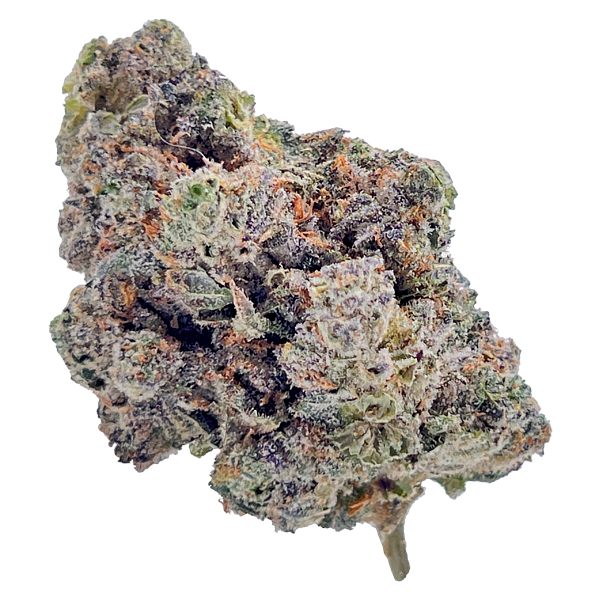 HighXotic - Royal Dive #4: Goofiez