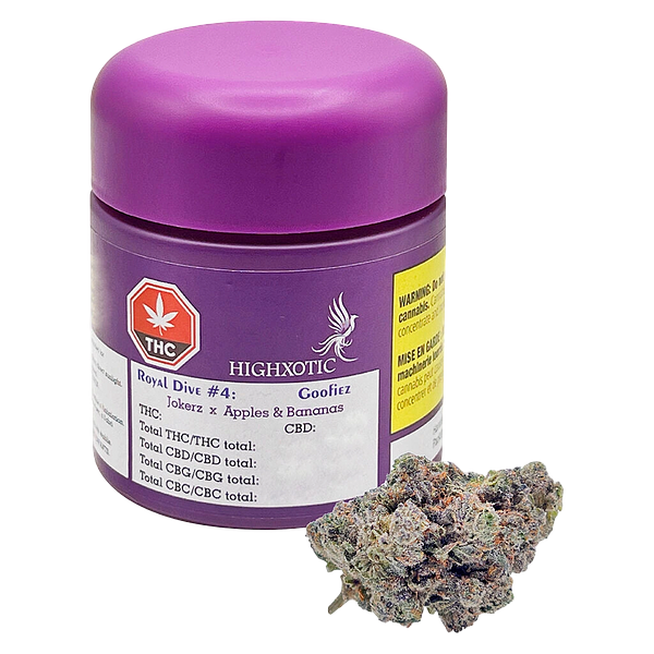 HighXotic - Royal Dive #4: Goofiez