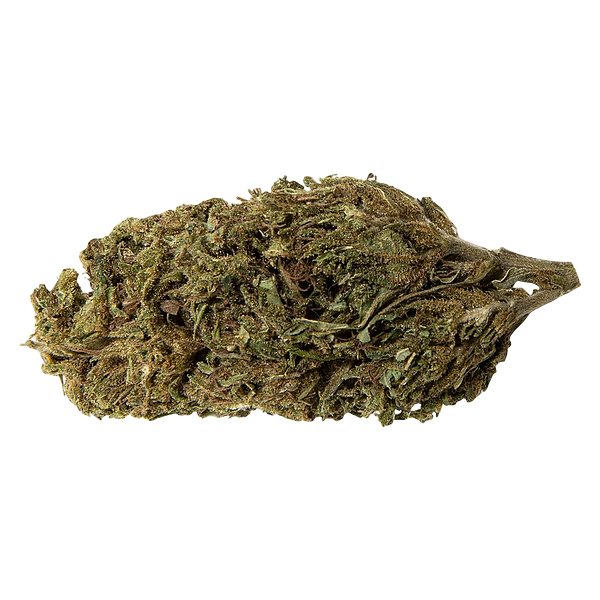 Abide - Lemon Sapphire