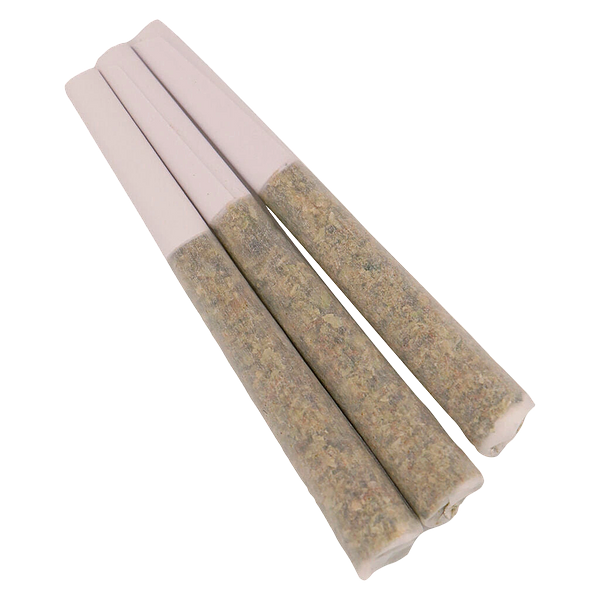 Dom Jackson - Ghost Banner Pre Roll