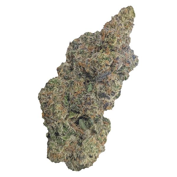Natural History - Limited Reserve Indica image 1