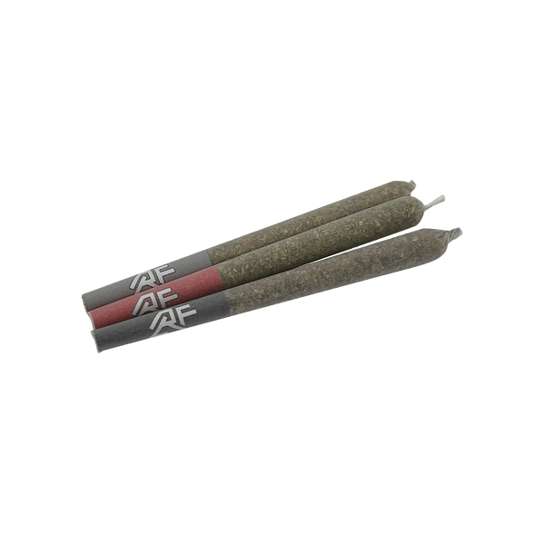 Rocket Factory - Test Flight - Three Stage Pre-Roll