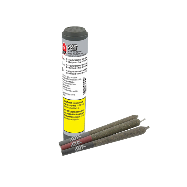 Rocket Factory - Test Flight - Three Stage Pre-Roll