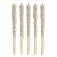 1964 - Sour Tangie Pre-Roll